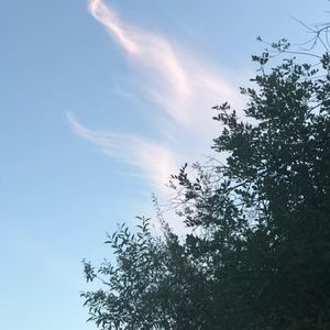 Meet your Posher, Wyld